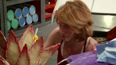 Getting Meta Getting Meta